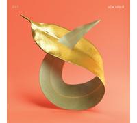 PVT : New Spirit VINYL 12" Album (2017) NEW FREE Shipping, Save £s