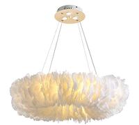 PVYGDXYI Romantic Feather Chandelier Ceiling Light Led Traditional Pendant Light Romantic Decorative Droplight Shade Compatible with Living Room Bedroom Lobby 1(80cm,White and Spotlights)
