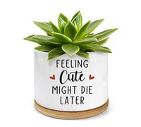 PWHINGN Feeling Cute Might Die Later- White Ceramic Engraved Mini Succulent Aloe Cactus Planter Pot, 3.5 inch Succulent Indoor Flower Plant Pots with Bamboo Tray for Home Office Windowsill