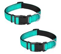 PWOD 2 Pcs Reflective Dog Collar, Adjustable Soft Neoprene Padded Nylon Pet Collars with Buckle for Puppy and Small Dogs, Cats, Teal,XS