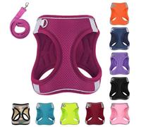 PWOD Dog Harness with Leash Set, No-Pull Step-in Reflective Pet Harness with 1 Leash Clips, Adjustable Soft Padded Easy Walk Dog Vest for Small Medium Large Dogs, Cats(Rose Red, Large)