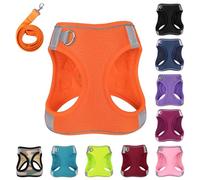 PWOD Dog Harness with Leash Set, No-Pull Step-in Reflective Pet Harness with 1 Leash Clips, Adjustable Soft Padded Easy Walk Dog Vest for Small Medium Large Dogs, Cats(Bright Orange, Small)