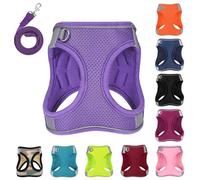 PWOD Dog Harness with Leash Set, No-Pull Step-in Reflective Pet Harness with 1 Leash Clips, Adjustable Soft Padded Easy Walk Dog Vest for Small Medium Large Dogs, Cats(Light Purple, XLarge)