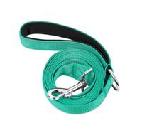 PWOD Double-Sided Reflective Nylon Dog Leash, 6 FT/4 FT/5 FT, Soft Padded Handle Heavy Duty Leashes with D Ring for Medium and Large Dogs Walking and Training,(Teal, 5FT)