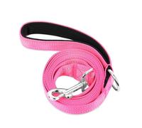 PWOD Double-Sided Reflective Nylon Dog Leash, 6 FT/4 FT/5 FT, Soft Padded Handle Heavy Duty Leashes with D Ring for Medium and Large Dogs Walking and Training,(Hotpink, 5FT)