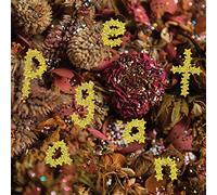 PWR BTTM - Pageant