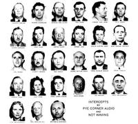 Pye Corner Audio - Intercepts [VINYL]