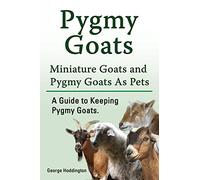 Pygmy Goats. Miniature Goats and Pygmy Goats As Pets. A Guide to Keeping Pygmy Goats.