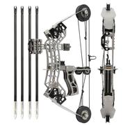 PYMUST 10.4inch Archery Small Compound Bow Arrow Kit for Indoor and Outdoor Stress-Relieving Shooting Games Target Practice Gift Accessories