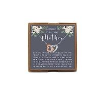 PYOUL Loss Of Mother Gift Mother Loss Necklace In Memory Of Your Amazing Mother Jewelry Sympathy Memorial Gift (Mother Loss N)