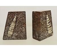 Pyramid Brown Chiseled and Carved Book Ends with Ammonoids and Orthoceras Fossils throughout from Paleozoic Period 400million years- W12 H 16 D5 Cm -