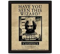 Pyramid Internationa - Harry Potter Harry Sirius Framed 10 x 8 3D - K245z