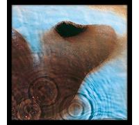 Pyramid International ACPPR48125 Pink Floyd (Meddle) 12" Framed Classic Album Sleeve Memorabilia-31.5 x 31.5cm, Multicolour, 31 x 31.5 x 1.3 cm