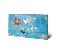 Pyramid International Adventure Time What is Life Wood Print, Multi-Colour, 45 x 76 x 1.3 cm