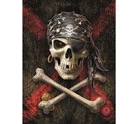 Pyramid International Anne Stokes Canvas (Pirate Skull Design) Large Canvas 60cm x 60cm - Official Merchandise