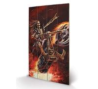 Pyramid International Anne Stokes (Hellrider) -Wood Print 45 x 76cm, Multi-Colour, 45 x 76 x 1.3 cm