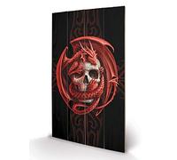 Pyramid International Anne Stokes (Skull Embrace) Wood Print, Multi-Colour, 45 x 76 x 1.3 cm