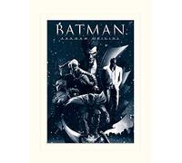Pyramid International Batman Arkham Origins Montage Mounted Print Memorabilia, Multi-Colour, 30 x 40 x 1.3 cm