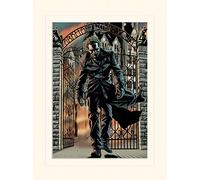 Pyramid International Batman The Joker Released Mounted Print Memorabilia, Multi-Colour, 30 x 40 x 1.3 cm