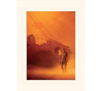 Pyramid International Blade Runner 2049 "Harrison Ford Teaser Mounted Print Memorabilia, Multi-Colour, 30 x 40 x 1.3 cm