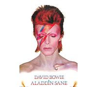 Pyramid International David Bowie (Aladdin Sane) Maxi Poster, 61cm x 91cm, One Size