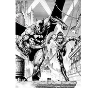 Pyramid International "DC Comics Batman & Nightwing Canvas Print, Multi-Colour, 30 x 40 x 1.3 cm