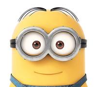 Pyramid International Despicable Me Canvas Print, Multi-Colour, 85 x 85 x 1.3 cm