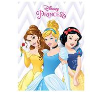 Pyramid International Disney Princess (Belle, Cinderella and Snow White) -Canvas Print 30 x 40cm, Wood, Multi-Colour, 30 x 40 x 1.3 cm