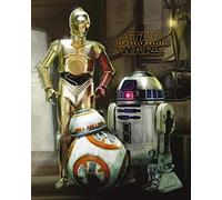Pyramid International "Droids Star Wars Episode VII Mini Poster, Multi-Colour, 40 x 50 x 1.3 cm