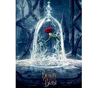 Pyramid International "Enchanted Rose Beauty and the Beast Movie Canvas Print, Multi-Colour, 60 x 80 x 1.3 cm