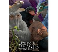 Pyramid International "Escaped Beasts Fantastic Beasts Canvas Print, Multi-Colour, 60 x 80 x 1.3 cm