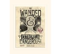 Pyramid International Fantastic Beasts (Extremely Dangerous) -Mounted Print Memorabilia 30 x 40cm, Paper, Multi-Colour, 30 x 40 x 1.3 cm