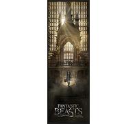 Pyramid International Fantastic Beasts Teaser Door Poster, Multi-Colour, 53 x 158 cm