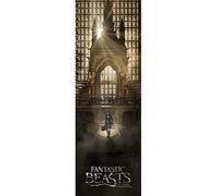 Pyramid International Fantastic Beasts Teaser Door Poster, Paper, Multi-Colour, 53 x 158 x 1.3 cm