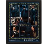 Pyramid International Fantastic Beasts The Secrets of Dumbledore 3D Poster 25cm x 20cm x 1.3cm in Box Frame - Official Merchandise