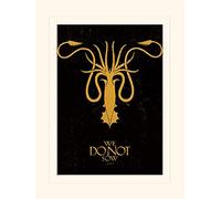 Pyramid International Game of Thrones (Greyjoy) Mounted Print Memorabilia, Paper, Multi-Colour, 30 x 40 x 1.3 cm