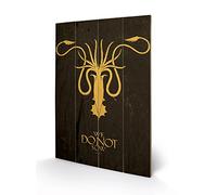 Pyramid International Game Of Thrones (greyjoy), Multi