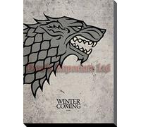 Pyramid International "Game of Thrones Stark Canvas Print, Cotton, Multi-Colour, 1.80 x 30.00 x 40.00 cm