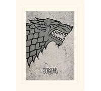 Pyramid International Game of Thrones Stark Mounted Print Memorabilia, Multi-Colour, 30 x 40 x 1.3 cm