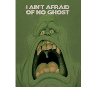 Pyramid International "Ghostbusters Slimer Canvas Print, Multi-Colour, 30 x 40 x 1.3 cm