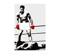 Pyramid International "Gloves Muhammad Ali Art Print, Multi-Colour, 60 x 80 x 1.3 cm