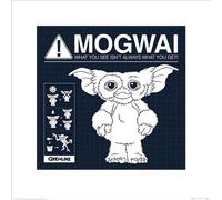 Pyramid International "Gremlins Mogwai Rules Paper Art Print, Multi-Colour, 40 x 40 x 1.3 cm