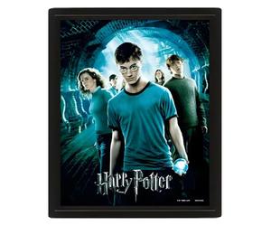 Pyramid International Harry Potter 3D Lenticular Poster of Order of the Phoenix 25cm x 20cm x 1.3cm in Box Frame - Official Merchandise