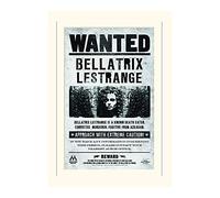 Pyramid International Harry Potter Bellatrix Wanted Mounted Print Memorabilia, Multi-Colour, 30 x 40 x 1.3 cm