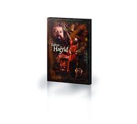 Pyramid International HARRY POTTER Canvas Print Hagrid 60cm x 80cm - Official Merchandise