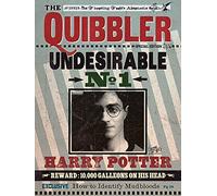 Pyramid International HARRY POTTER Canvas Print Quibbler 60cm x 80cm - Official Merchandise