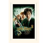 Pyramid International Harry Potter Chamber of Secrets Mounted Print Memorabilia, Multi-Colour, 30 x 40 x 1.3 cm