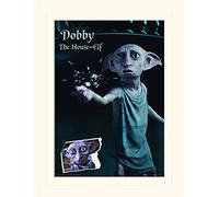 Pyramid International Harry Potter (Dobby) -Mounted Print Memorabilia 30 x 40cm, Paper, Multicoloured, 30 x 40 x 1.3 cm