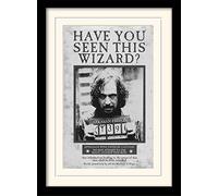 Pyramid International HARRY POTTER Framed Poster of Sirius Black in Azkaban Prison 30cm x 40cm - Official Merchandise