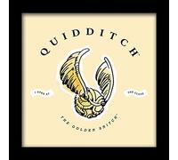 Pyramid International HARRY POTTER Framed Print Quidditch Watercolour Design 30cm x 30cm - Official Merchandise